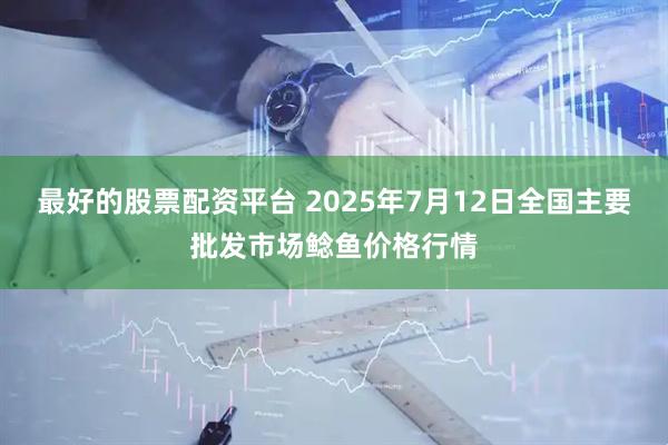 最好的股票配资平台 2025年7月12日全国主要批发市场鲶鱼价格行情