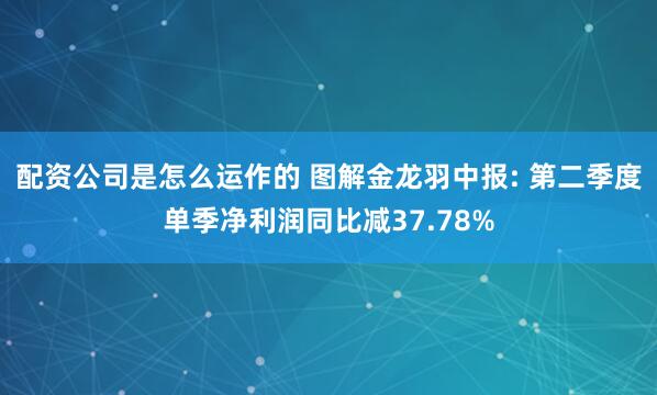 配资公司是怎么运作的 图解金龙羽中报: 第二季度单季净利润同比减37.78%