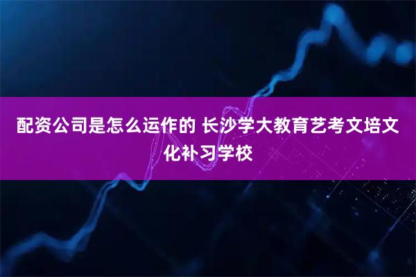 配资公司是怎么运作的 长沙学大教育艺考文培文化补习学校