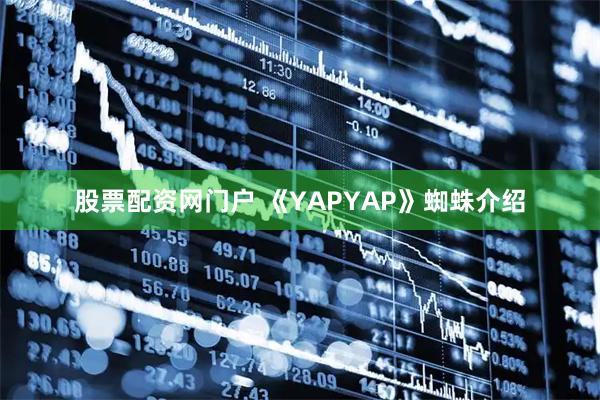 股票配资网门户 《YAPYAP》蜘蛛介绍